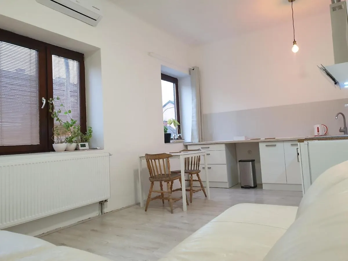 Brno Apartment Tsjechië